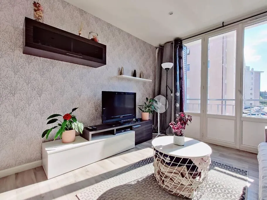 Cabana & Appartement Ideal آنسي شقة